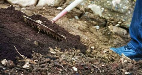 How To Add Compost To Soil The Right Way