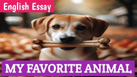 My Favorite Animal My Favorite Animal Essay Your Favorite Animal