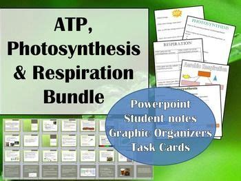 Photosynthesis And Cellular Respiration Unit Bundle Ppt Activities