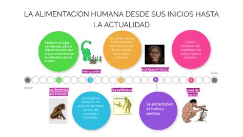 Cu L Ha Sido La Evoluci N De La Alimentaci N Humana