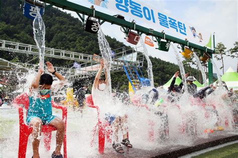 평창더위사냥축제 지역축제 대한민국 구석구석 축제