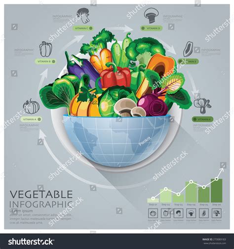 23,117 Vegetable infographic Images, Stock Photos & Vectors | Shutterstock