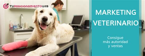 6 Estrategais De Marketing Veterinario Autoridad Y VENTAS