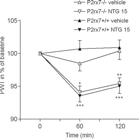 Acute Prophylactic Bbg Treatment Alleviates Ntg Induced Thermal