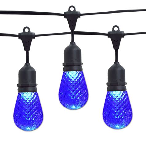 Blue Led Commercial String Lights 10 Lights