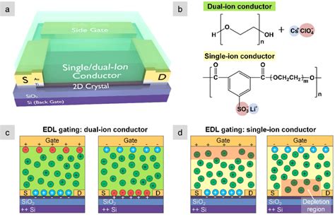 A Schematic Of A 2D Crystal FET Either Graphene Or MoTe2 That Can