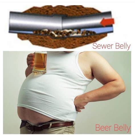 Sewer Belly Causes And Solutions