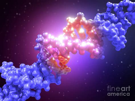 Dna Editing Photograph by Maurizio De Angelis/science Photo Library - Fine Art America