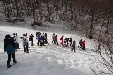 Ciaspolate E Igloo Sui Monti Sibillini Sibillini Adventure