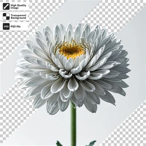 premium psd  picture   flower   labeled flower