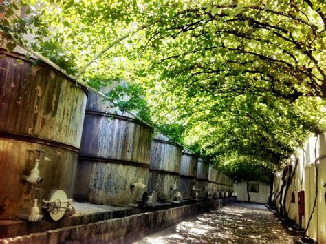 Casa Madero - Parras de la Fuente, Coahuila de Zaragoza | Parras de la ...