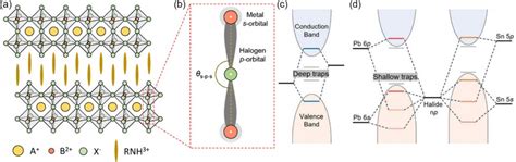 Ruddlesdenpopper Tin Based Halide Perovskite Field Effect Transistors