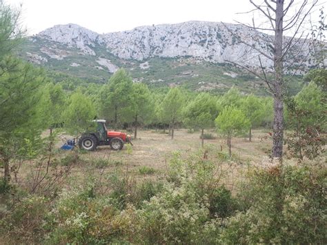 Treballs De Millora Forestal A La Vall De Santa Caterina Torroella De