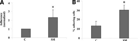 Adhesion Of Km12c And Km12sm Cell Lines A Adhesion To Huvecs Km12c