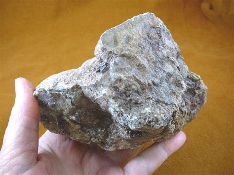 (DF843-126) 2 lb Fossil REAL DINOSAUR POOP Coprolite Dino fossils DUNG Poo Scat - Other