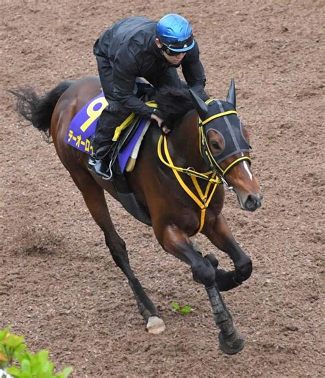 【天皇賞】テーオーロイヤル抜群 師弟コンビで初g1奪取へ 勢い象徴の好仕上がり競馬・レースデイリースポーツ Online