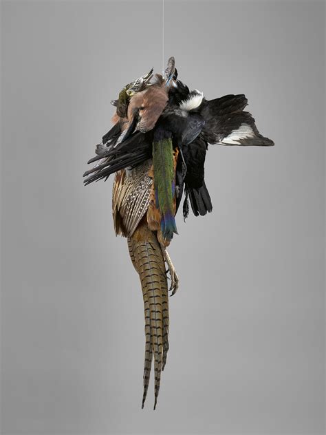 2022 | Claire Morgan