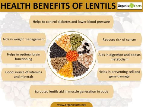 5 45 126 30 Coming Soon Lentils Benefits Lentil Nutrition Facts