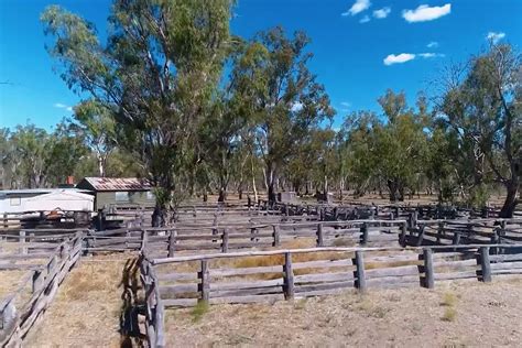 Image Smt Barmah Muster Yards Sydney Melbourne Touring