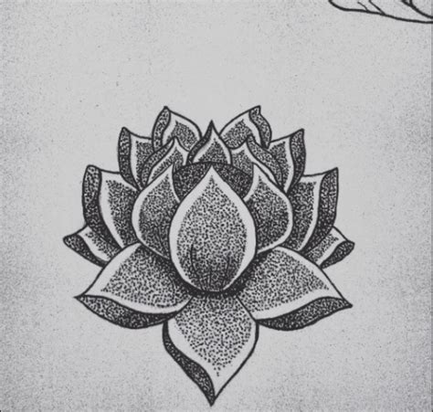 Hand Drawing Dotwork Artistsandclients