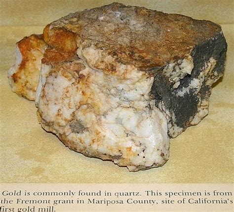 Mother Lode Gold Ore This Chunk Of Vein Quartz Is Typical Of Gold