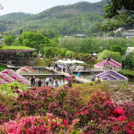 Wisteria at Ashikaga Flower Park 2020 - April/May Events in Tochigi ...