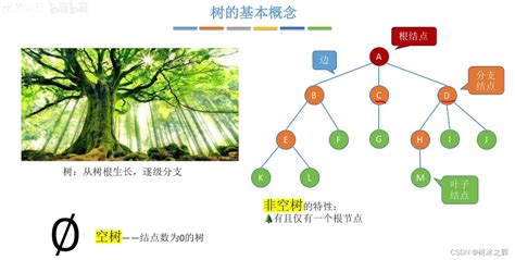 【数据结构】树的定义、基本术语、性质 M叉树和度为m的树区别 Csdn博客