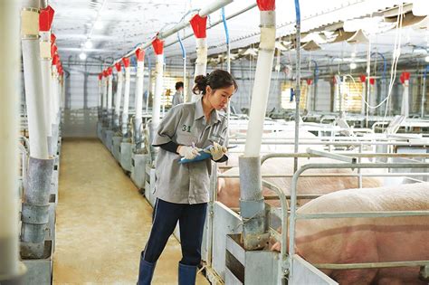 Livestock Companies Latch Onto Gains Involving Circular Economic Model