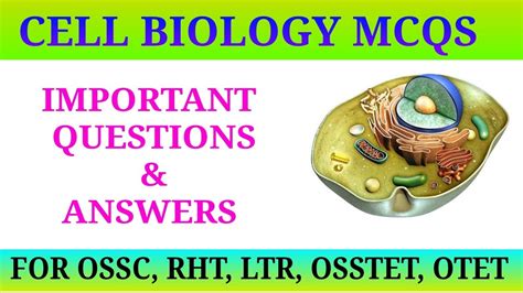 Cell Biology Mcqs Cell Theory Cell Structure Mcqs Biology Mcqs