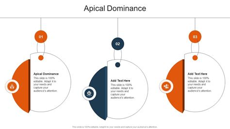 Apical Dominance In Powerpoint And Google Slides Cpb