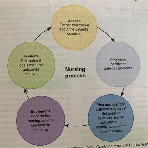 CHAPTER 5 Key Terms Nursing Process Diagram Quizlet