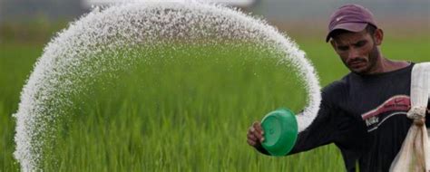 Slow Release Fertilizers ABC Of Agri