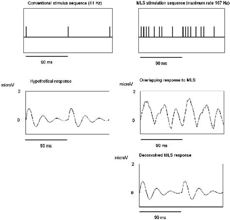 Figure From The Auditory Middle Latency Response Evoked Using