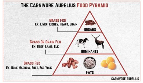 Carnivore Diet Everything You Need To Know Updated 2020