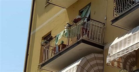 Donna Di Anni Precipitata Dal Balcone Ha Ceduto La Ringhiera Bigodino