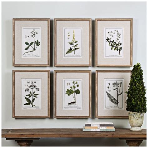 15 Best Collection of Framed Botanical Art Prints