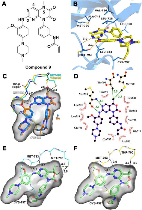 A The Chemical Structure Of Compound B The Modeling Binding Mode