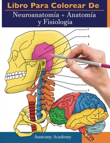 Livro Livro Para Colorir De Neuroanatomia Anatomia E Fisi