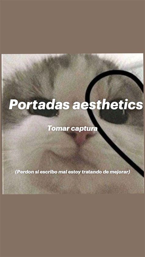 Portadas Aesthetics En 2023 Portadas Escribir Tomar Te