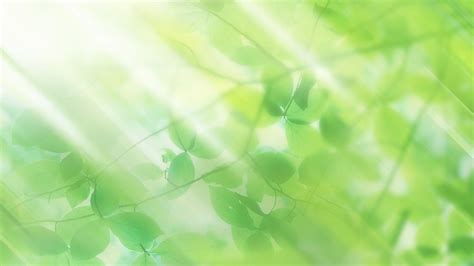 Greenery Wallpapers - Wallpaper Cave