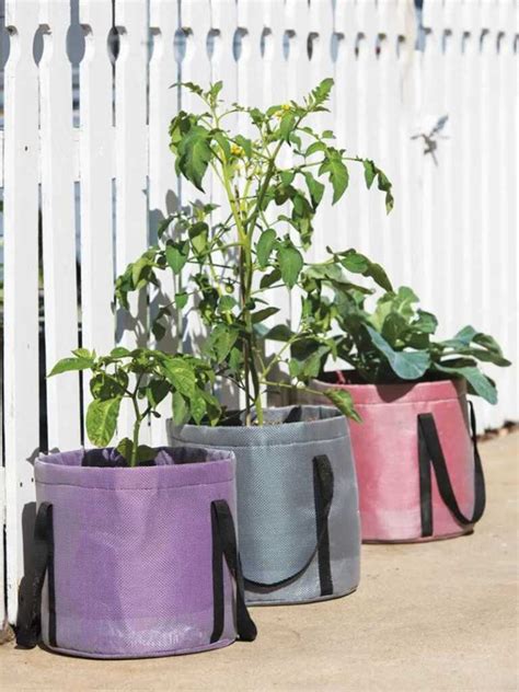 What Color Of Grow Bags Are Best Handyman Tips