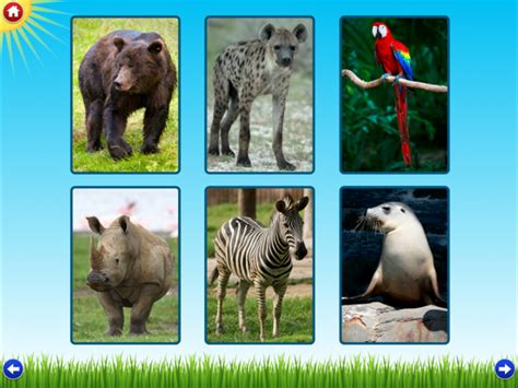 Zoo Sounds Lite - A Fun Animal Sound Game for Kids | App Price Drops