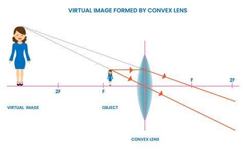 Convex lens forms virtual image, Upright, located behind the lens, cannot be projected 25905082 ...