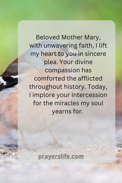 20 Powerful Prayer To Mother Mary For A Miracle