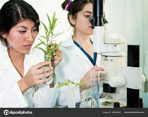 Two Hardworking Botanists Studying A New Species Stock Editorial