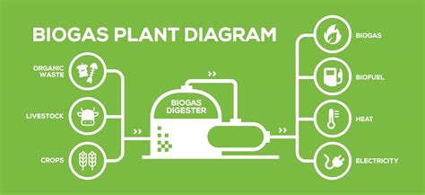 Diagrama De Produccion De Biogas De Residuos Solidos Biogas