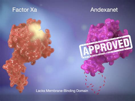 Fda Clears Andexanet Alfa For Rapid Noac Reversal Medpage Today