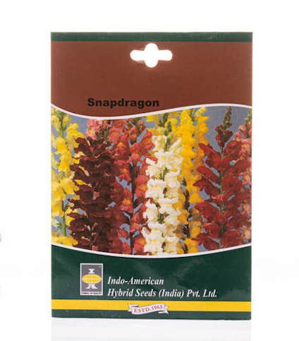 Snapdragon Seeds | Buy Flower Seeds Online | Gift Flower Plant Seeds Online - Horticult