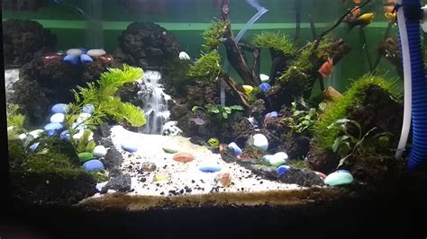 Aquascape Tema Air Terjun Pohon Bonsai Youtube