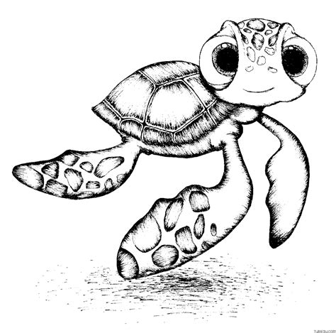 Cute Baby Sea Turtle Coloring Pages